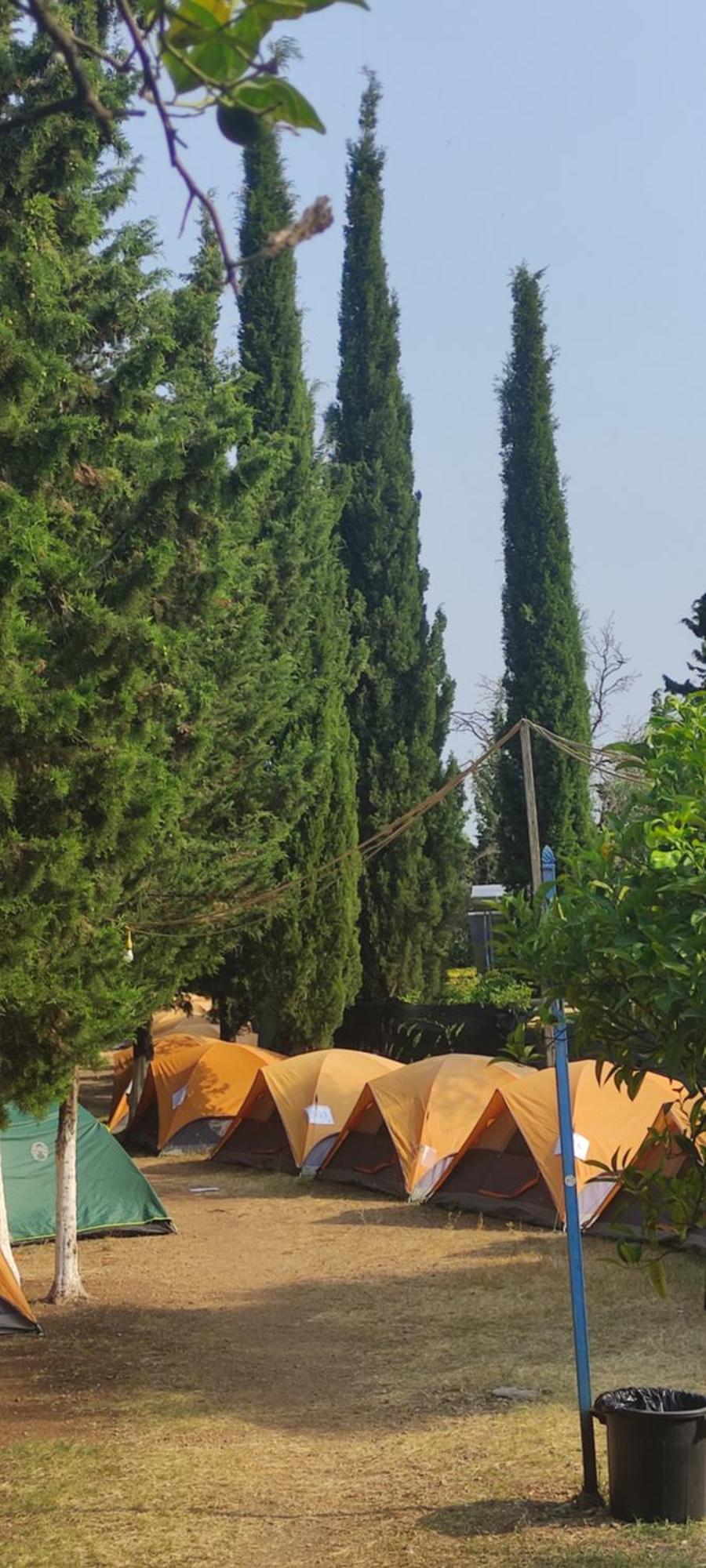 ホテル The Sea Turtle Camp Dhërmi 部屋 写真