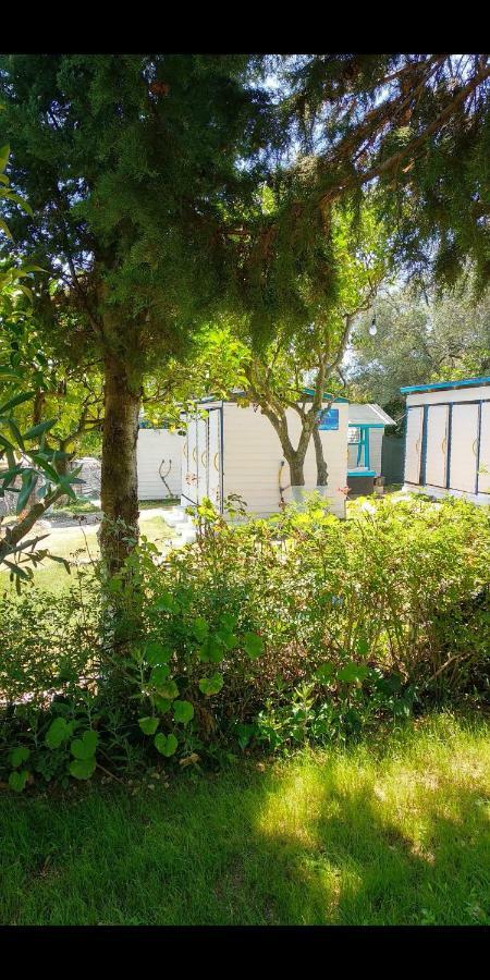 ホテル The Sea Turtle Camp Dhërmi エクステリア 写真
