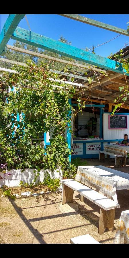 ホテル The Sea Turtle Camp Dhërmi エクステリア 写真